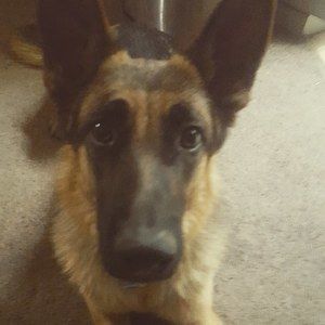 Meet your Posher, Leonardo